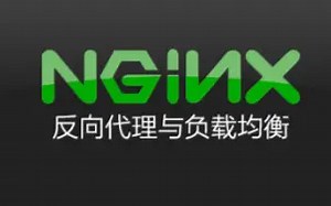 【学相伴-小飞非】Nginx的静态服务&Gzip优化