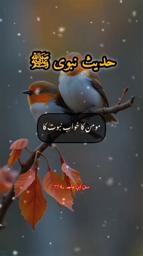 11K views · 504 reactions | Hazrat Abu Huraira (RA) reported that the Prophet Muhammad (ﷺ) said: “A believer’s dream is one-forty-sixth part of Prophethood.” True dreams are a sign of a believer’s faith. #Hadith #AbuHurairaRA #ProphetMuhammadSAW #TrueDream #Believer #IslamicReminder #IslamicQuotes #HadithOfTheDay #Sunnah #Faith #Islam | Tehseen Khawaja | Facebook