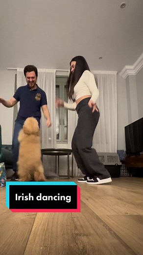 Irish dancing with my mommy and daddy #dancing #dog #dogsoftiktok #teddybear
