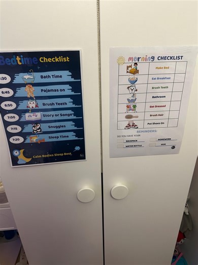 Morning & Bedtime Routine Charts for Kids | Printable Checklist Bundle | Calm Mornings and Bedtimes | Kids Structured Routine | A4 and A3 - Etsy