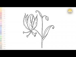 Flame lily drawing easy | Flower drawing tutorial| How to draw an Flame lily step by step #artjanag