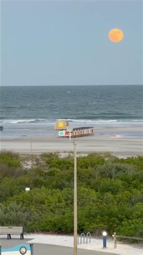 ￼Wildwood crest ocean ambience 2026 #wildwood2026 #wildwood #beach #jerseyrocks