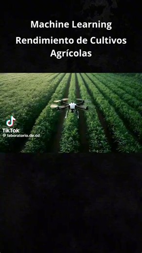 Videos de RadarLab (@ia_empresarial) con “original sound - RadarLab”