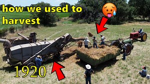 4.1K views · 119 reactions | This is how we used to harvest Oats and Wheat over 100 years ago in 1920! | Family Farm Life | Facebook
