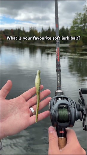The new 5” Whiplash Shad in Baby Bass🎣 #bassfishing #smallmouthbass #largemouthbass #bassbait