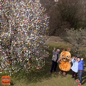 1.1M views · 22K reactions | 10.000 handdekorierte Ostereier – damit war für den Baum in einem Garten in Saalfeld die Ostereier-Obergrenze eigentlich erreicht. Für die Maus gab es dann noch eine Ausnahme …讀 | Die Maus | Facebook