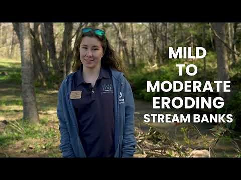 How to Repair Eroded Stream Banks | Natural Techniques That Actually Work