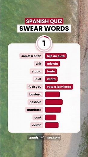 Swear Words in Spanish - Learn Spanish #learnspanish #spanishvocabulary #dailyspanish #swearwords