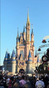 Walt Disney world castle 🏰 #shorts #waltdisneyworld #disney