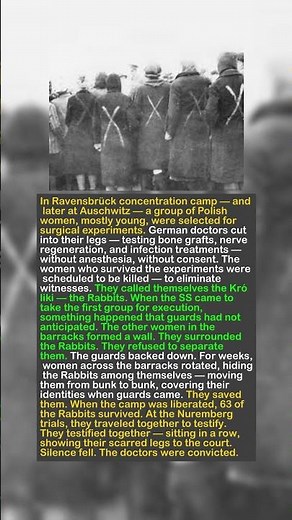 The "Rabbits" of Ravensbrück: The Women Who Survived Nazi Experiments