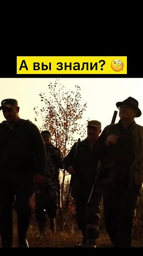 Exploring Autumn Forest Trails with Adventurous Walkers