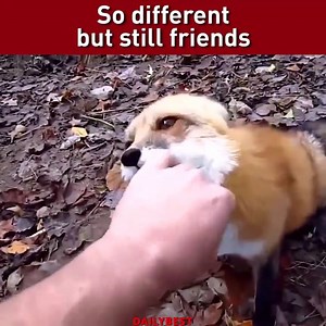 181K views · 1.6K reactions | #love | Hilarious Headlines | Facebook