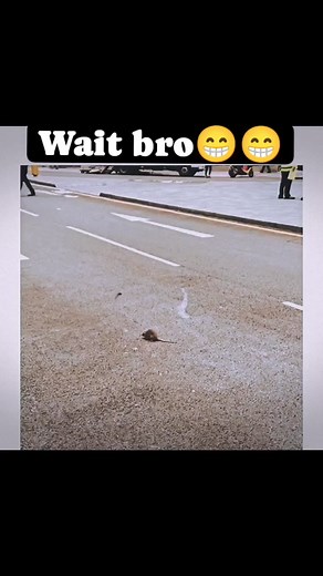 🤣🤣🤣🤣🤣 | Top videos