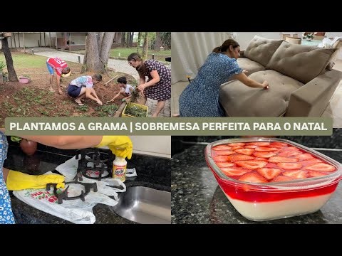 Perfect dessert for Christmas | Homemade sofa cleaning | the grates were awful | LAÍS VELOSO