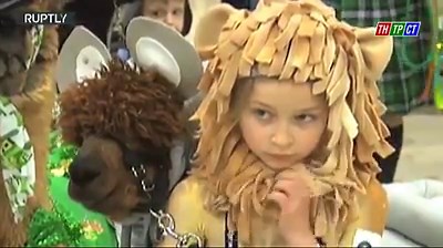 Ngày hội lạc đà Alpaca | Mới đây, tại bang Colorado của nước Mỹ đã diễn ra sự kiện Alpaca Show dành cho những người thích nuôi lạc đà Alpaca làm thú cưng. | By Truyền hình Cần Thơ | Facebook