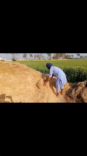 Exploring Roblox DIY ASMR Rants