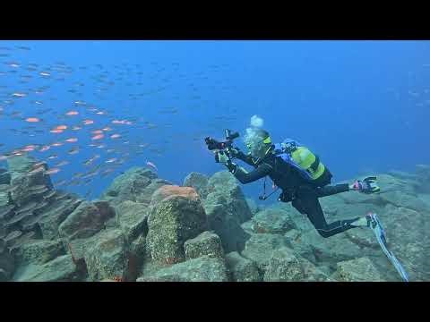 Atlantis 2 (Giants Causeway)