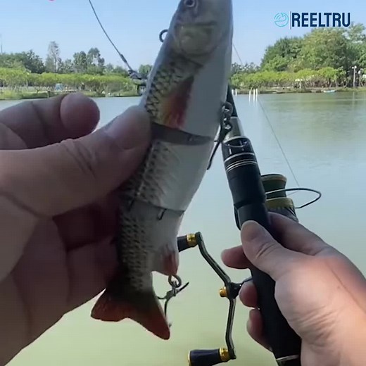 ReelTru.com on TikTok