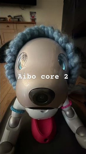 Aibo core 2