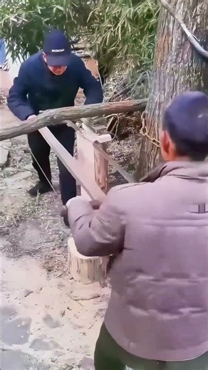 Have You Seen This Ancient Way of Sawing Wood?