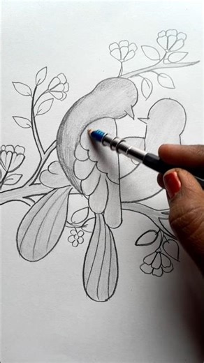 How To Draw Two Parrots #parrot #drawing #shorts