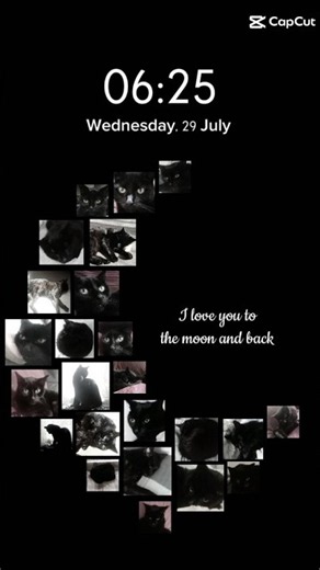 I Love You To The Moon And Back Tommy (my cat) 🐈‍⬛💚🌙