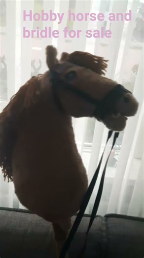 on marktplaats for €20