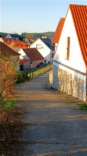 🌆🐓🎤Victorio - Camino, Llévame a Casa (Take Me Home, Country Roads) #countryroads #victorio #camino