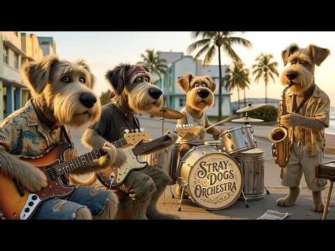 Soft Jazz for Work, Focus & Relaxation - Smooth Coastal Groove & Mellow Sax