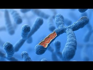 Chinese Scientist's Human Genetic Engineering Experiment is 'Crazy'