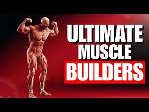 The Only Exercise You Need for Each Muscle Group