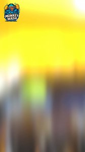 14 shares | ✨ Welcome to Monkey Wash – Premium Mobile Car Care,...