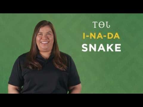 Cherokee Word of the Week: Snake