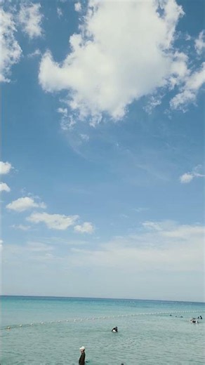 #영덕 #즉흥여행 #대진해수욕장