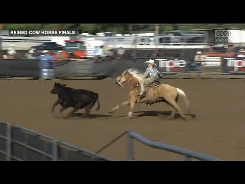 Reined Cow Horse: 2025 SDHSRA Parade of Champions