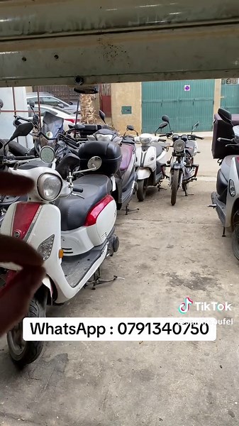 Vidéos de samix (@samirhoufel) avec son original - samix