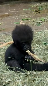 124K views · 6.6K reactions | Teething, crawling, and growing—oh my!...