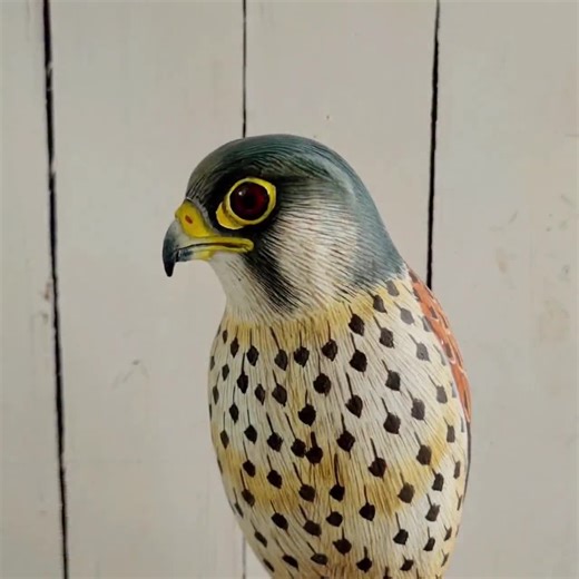 Hand Carved Wooden Kestrel on Reclaimed Log | Wildlife Bird Sculpture | 27cm (10.6") | Nature-inspired Home Decor | Gift for Bird Lovers - Etsy Australia