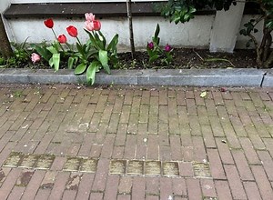 All across Europe, ‘stumbling stones’ honor victims of the Nazi regime - The Boston Globe