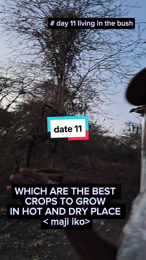 Farming in Kenya - A Journey towards Sustainable Agriculture