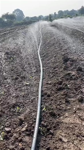 257K views · 2.5K reactions | What you need at your farm, irrigation system... Farm all year round | Davis agricultural engineering solutions | Facebook