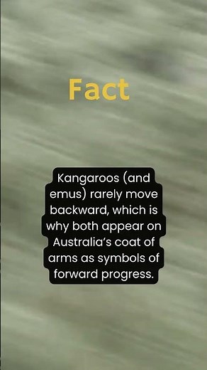 Kangoroo and emu fact