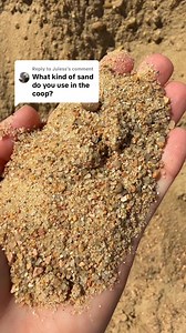 83K views · 786 reactions | We use coarse washed construction sand also called concrete mix sand in our chicken coops and runs! #chicken #chickencoop #sand #chickenschmidtfarms #fyp #reels #coop #homestead #farm #farmlife | Chicken Schmidt Farms | Facebook