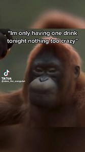 Funny and laughable on Reels