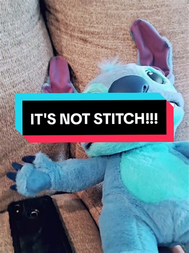 Too iconic not to recreate! @davidlopezfilms #vines #oldvine #davidlopez #fyp #stitch