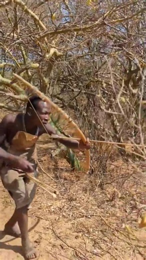 A presa mais rápida! Consciência da mata!#shorts #wildlife