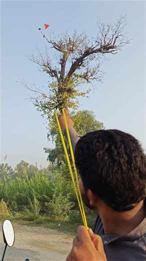 Slingshot hunting wild birds short #ytshorts #huntingbirds #shorts