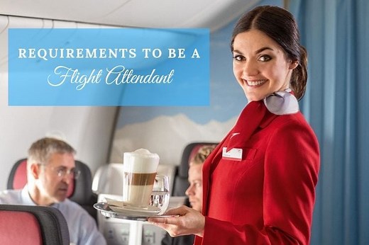 Flight Attendant Requirements: Everything You Need to Know