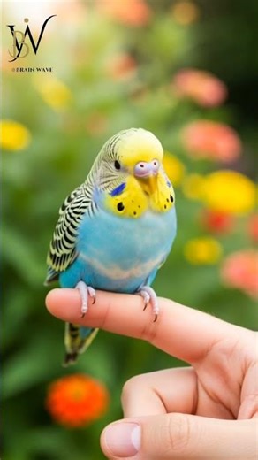 Beautiful Bird Chirping Sounds | Relaxing Nature Short