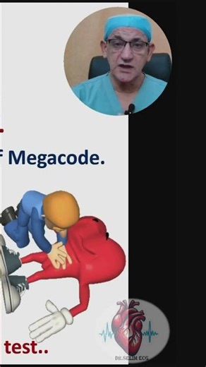 What is The Megacode 2
